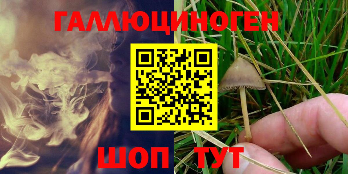 Псилоцибиновые грибы Magic Shrooms Павлово