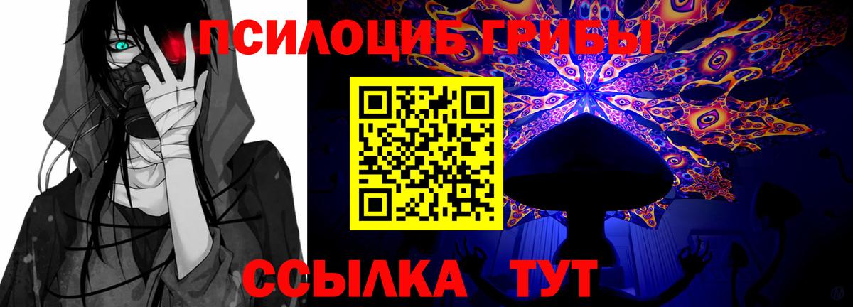 дарнет шоп  Вход с VPN  Павлово  Псилоцибиновые грибы мухоморы 